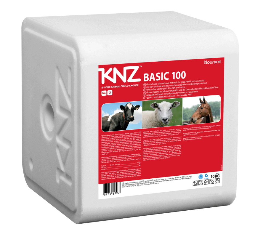 Laizāmais sāls KNZ 100 Basic (bez piedevām)