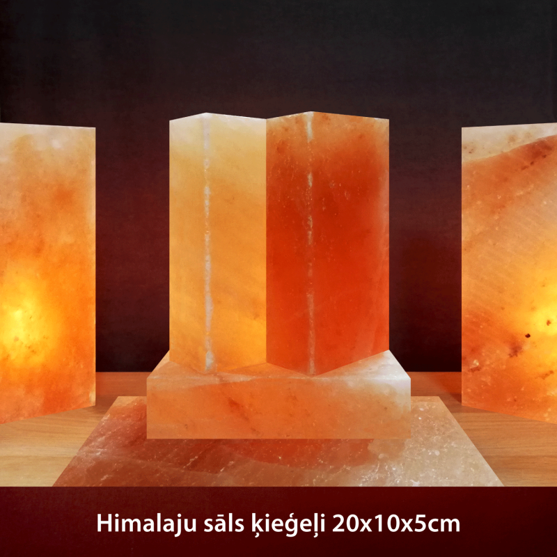 Himalayan salt bricks 20x10x5cm